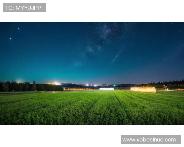 马内的足球之路：从非洲草原到欧洲绿茵场的传奇旅程