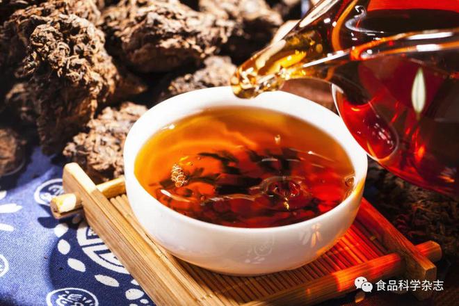 《食物科学》：天津农学院张军教化等：普洱熟茶要害半岛官方体育香气物质热开释秩序阐发(图1)