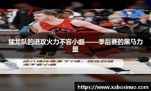 猛龙队的进攻火力不容小觑——季后赛的黑马力量