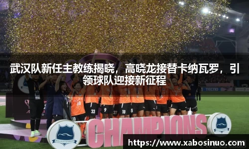 武汉队新任主教练揭晓，高晓龙接替卡纳瓦罗，引领球队迎接新征程