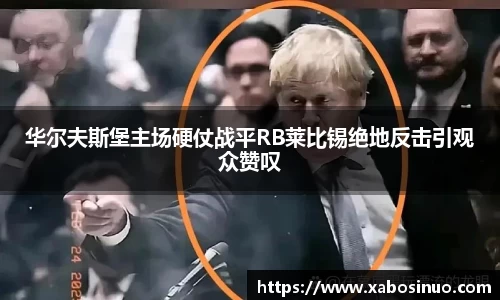 华尔夫斯堡主场硬仗战平RB莱比锡绝地反击引观众赞叹