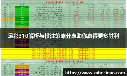 足彩310解析与投注策略分享助你赢得更多胜利