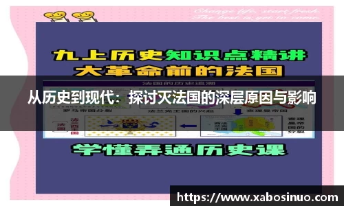 从历史到现代：探讨灭法国的深层原因与影响
