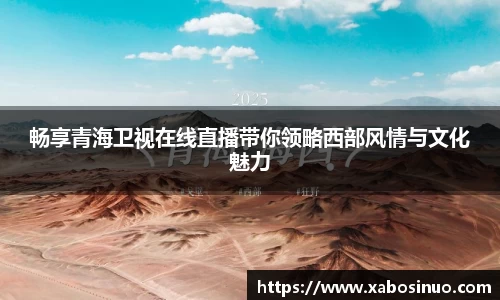 畅享青海卫视在线直播带你领略西部风情与文化魅力