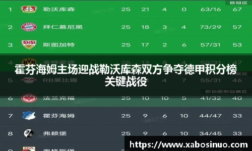 霍芬海姆主场迎战勒沃库森双方争夺德甲积分榜关键战役
